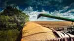 AgroForum, evento do BTG Pactual para investidores do agronegócio, será realizado em 13 de agosto; informe-se sobre a participação