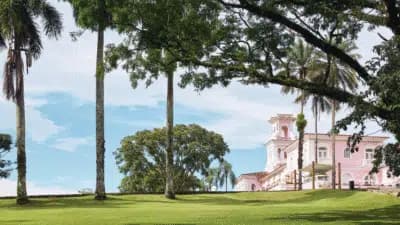 Imagem card com fundo