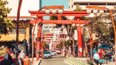 Imagem card com fundo