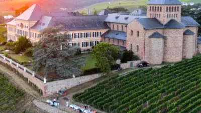 Imagem card com fundo