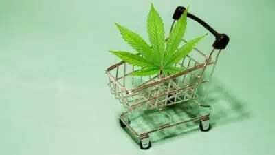 Imagem card com fundo