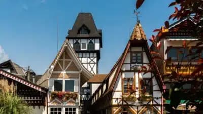 Imagem card com fundo