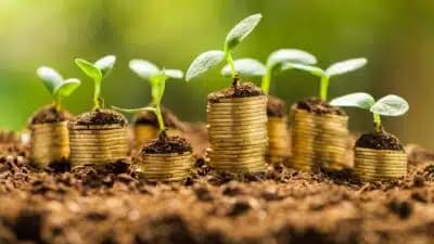 Imagem card com fundo