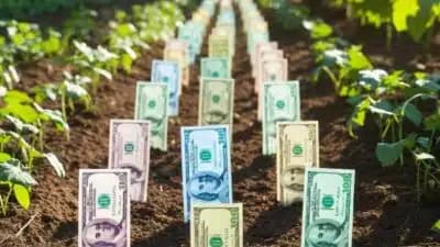 Imagem card com fundo