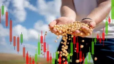 Imagem card com fundo